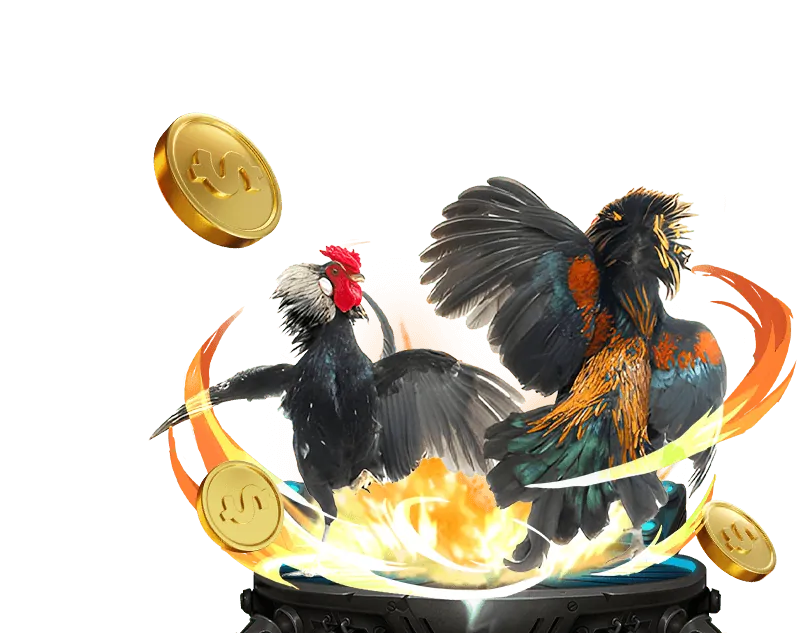 Cá cược Đá Gà